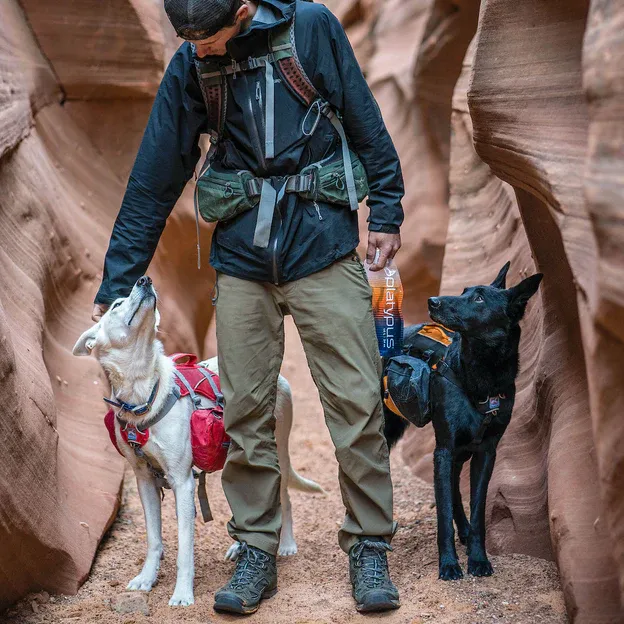 Baxter Dog Backpack