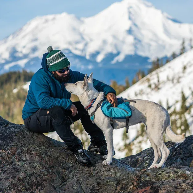 Baxter Dog Backpack