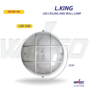 Ceiling - Wall Led Lamp