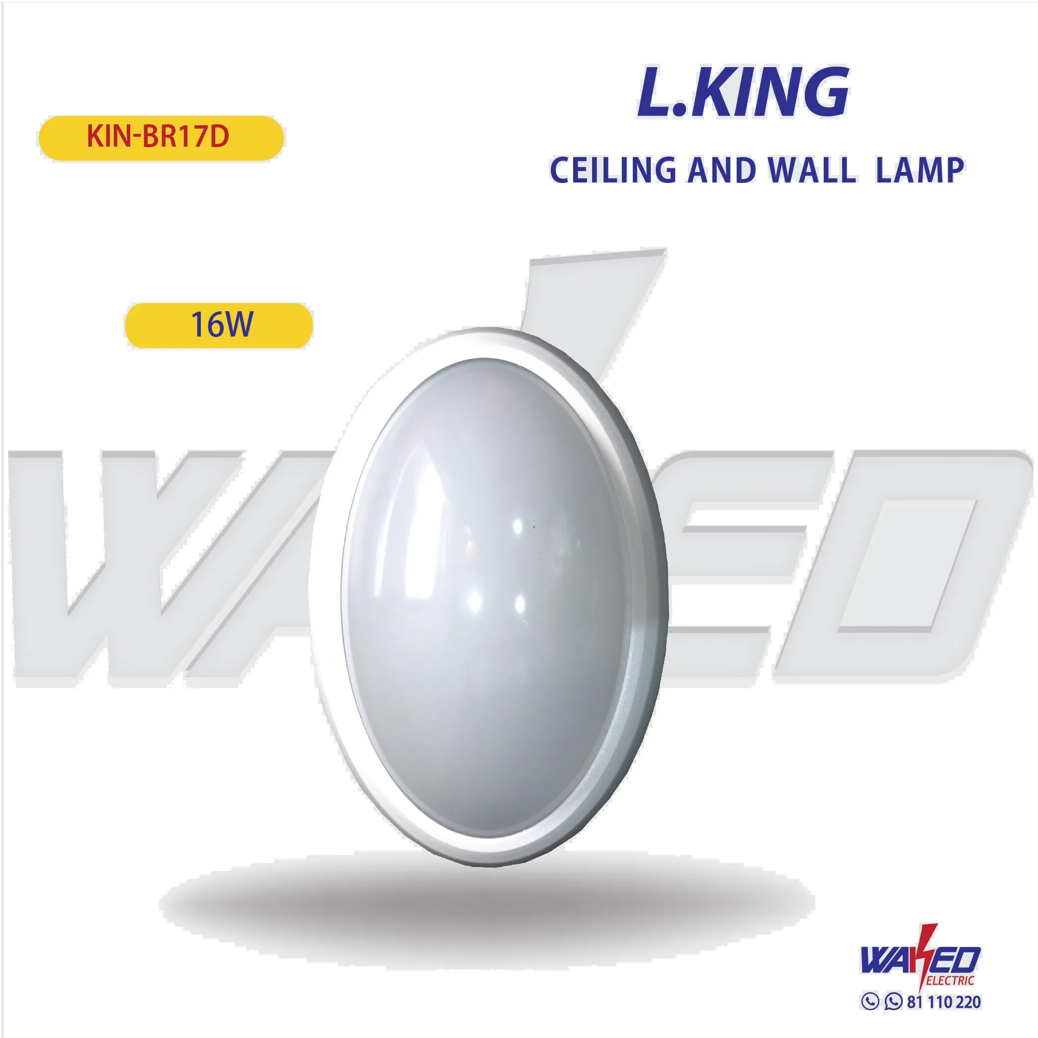 Ceiling - Wall Led Lamp